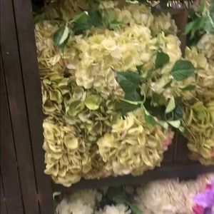 Meet your Posher, Andy